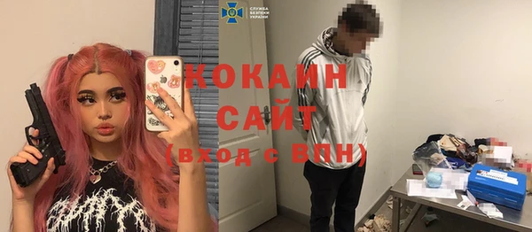 бошки Бородино