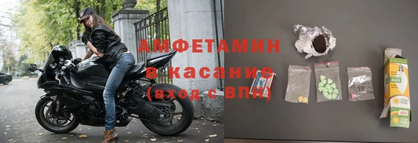 индика Бронницы