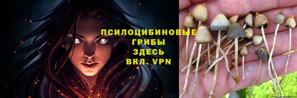 индика Бронницы