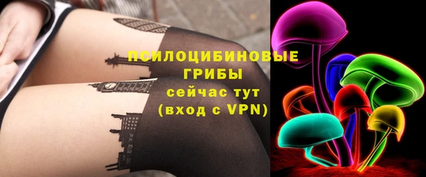 индика Бронницы