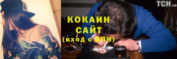 бошки Бородино