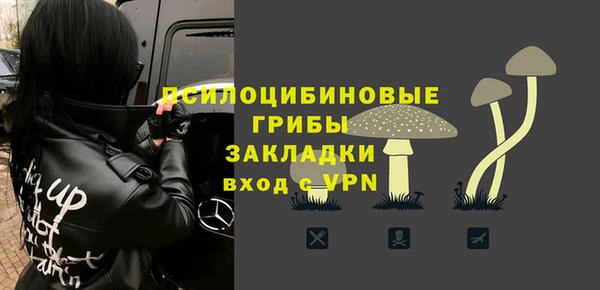 индика Бронницы