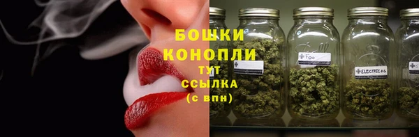 бошки Бородино