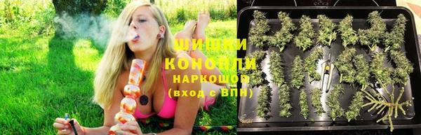индика Бронницы