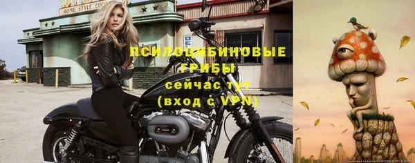 бошки Бородино