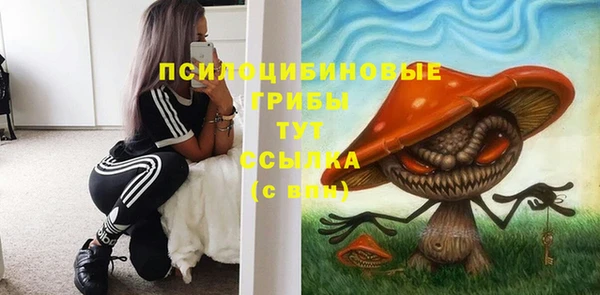 бошки Бородино