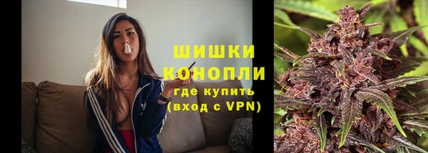 индика Бронницы
