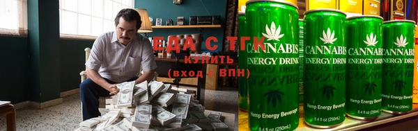 индика Бронницы