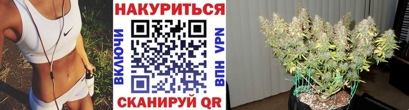 Бошки марихуана конопля  где можно купить   Мончегорск 